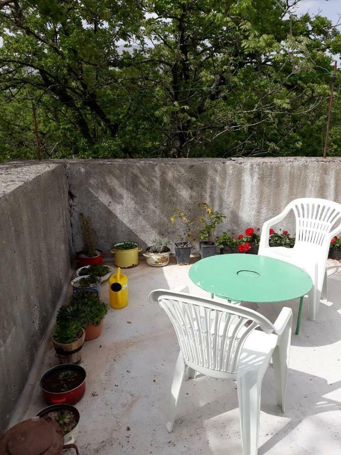 Apartman Milica Golubic  Экстерьер фото