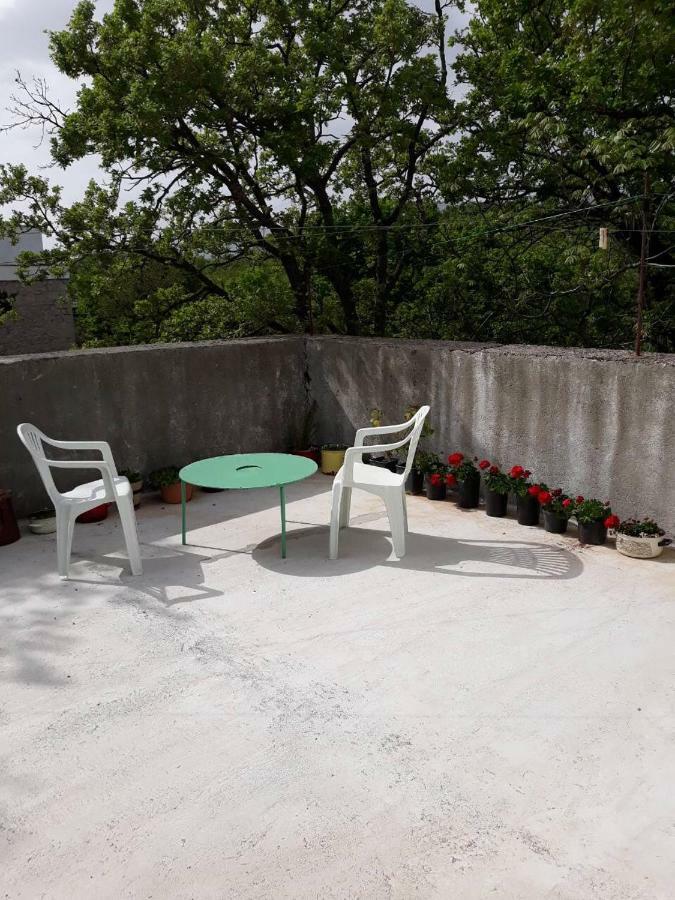Apartman Milica Golubic  Экстерьер фото