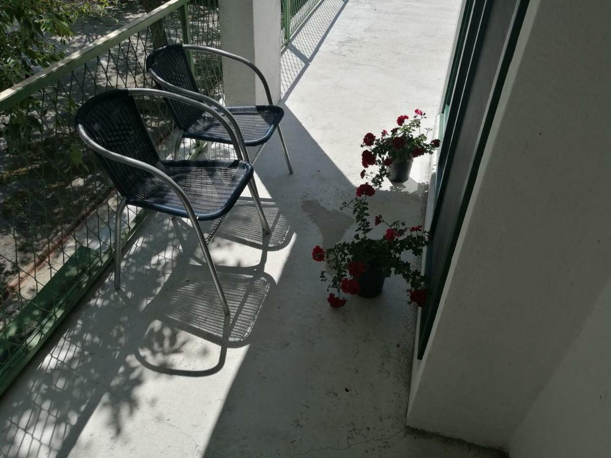 Apartman Milica Golubic  Экстерьер фото